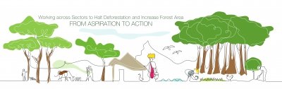 International Deforestation Conference and Workshop 2018 (Rome, Italy) Funded