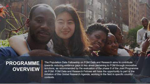 UN Volunteer/UNFPA Population Data Fellowships for FGM 2020