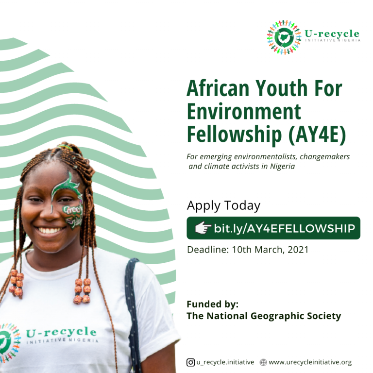 African Youth for Environment (AY4E) Fellowship For Nigerian Youths 2021