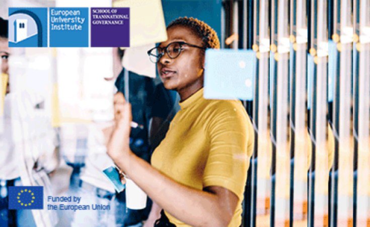 Young African Leaders Fully Funded Programme for African Policy Experts, Florence, Italy (2021)