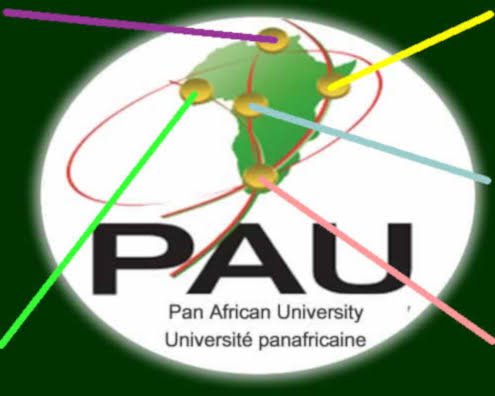 Pan African University (African Union) Master's/PhD Scholarships for Africans 2021/2022 (Fully Funded)