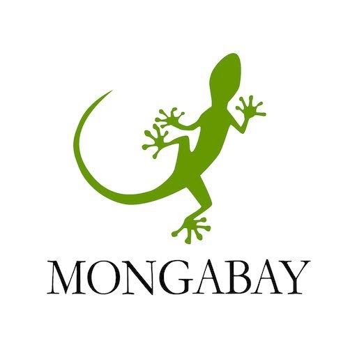 Mongabay is hiring a Prospect Research Analyst